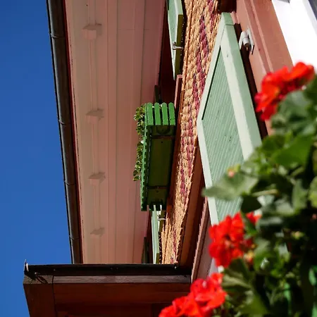 Feriengasthof Loewen Hotel Breitnau