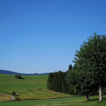 ホテル Feriengasthof Loewen