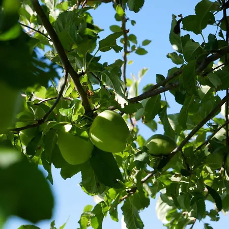 Feriengasthof Loewen * Breitnau