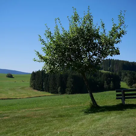 Hotel Loewen *